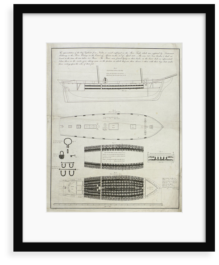 Plan of slave ship 'Vigilante' by J. Hawksworth