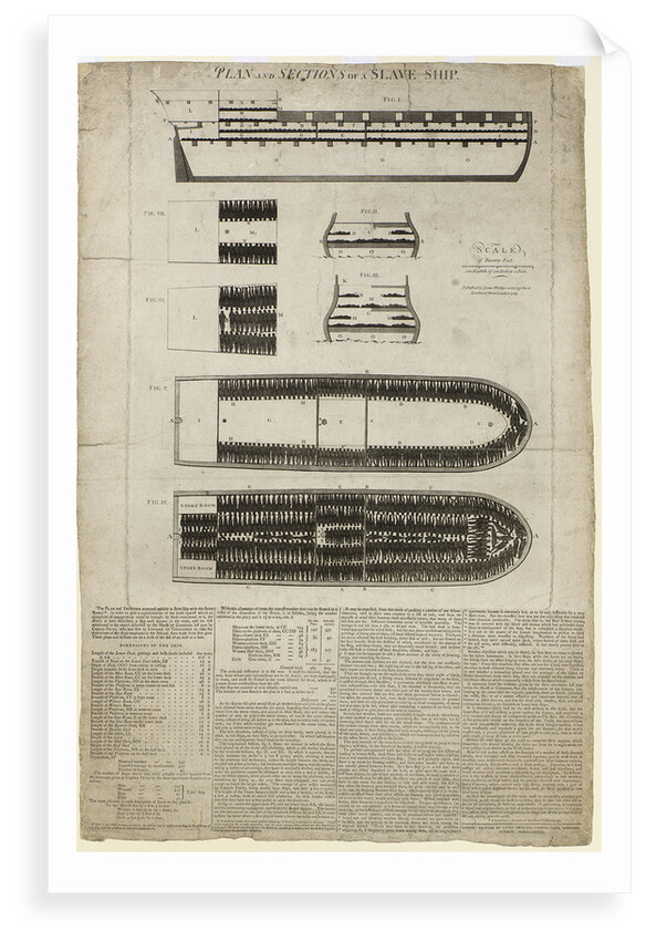 Plan and sections of slave ship 'Brooks' [sometimes 'Brookes'] by unknown