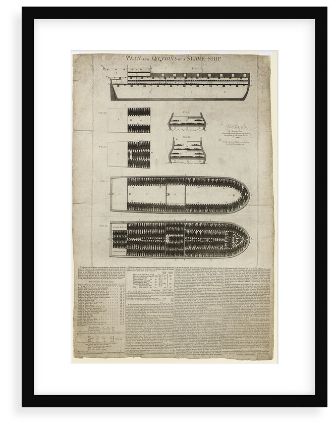 Plan and sections of slave ship 'Brooks' [sometimes 'Brookes'] by unknown