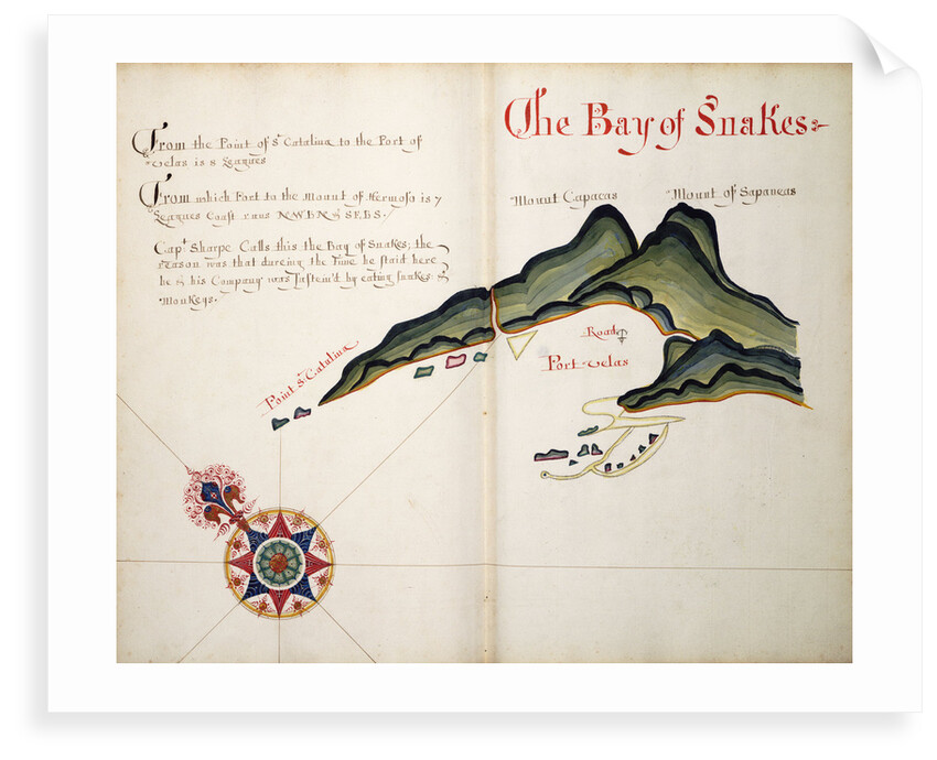 The Bay of Snakes by William Hack