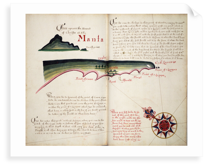 Manta by William Hack