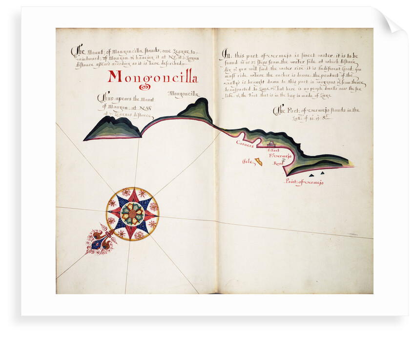 Mongoncilla by William Hack