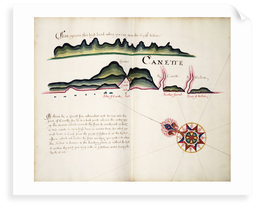 Canette by William Hack