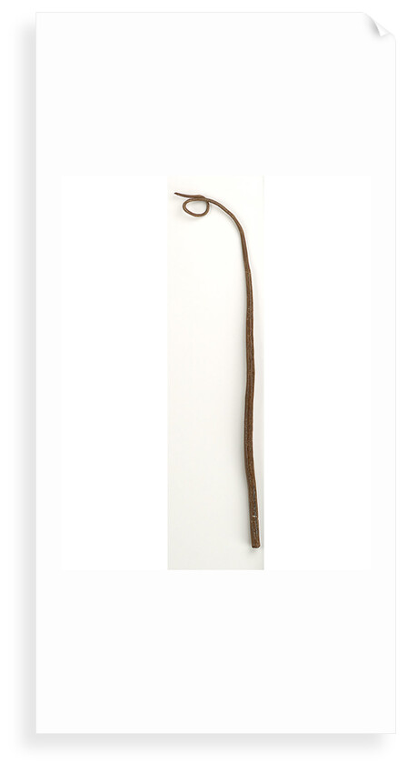 Whip by unknown