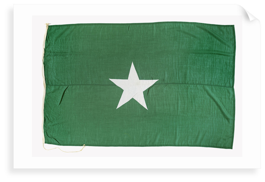 House flag, Ross Group by unknown