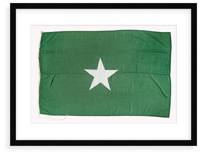House flag, Ross Group by unknown