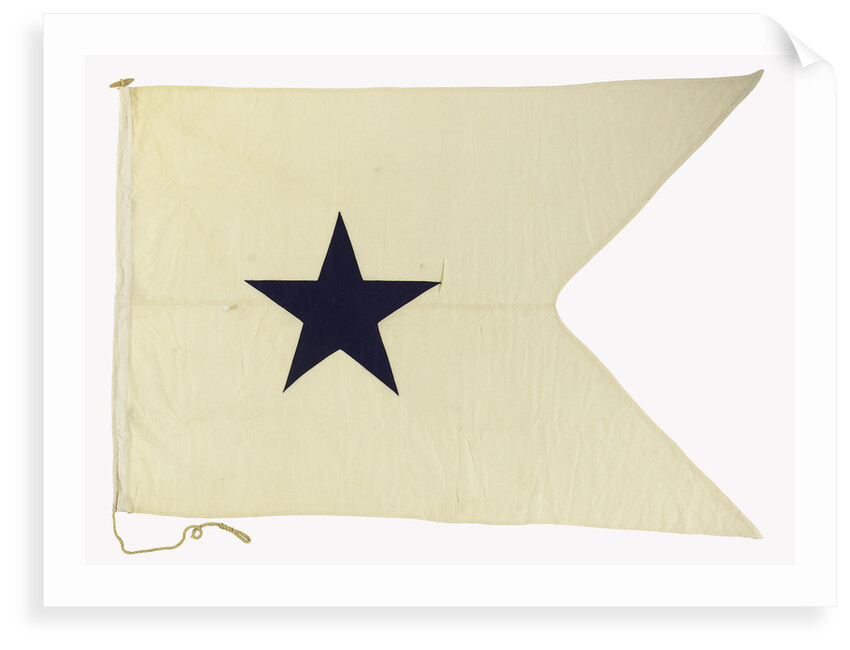House flag, Bristol City Line of Steamships Ltd by unknown