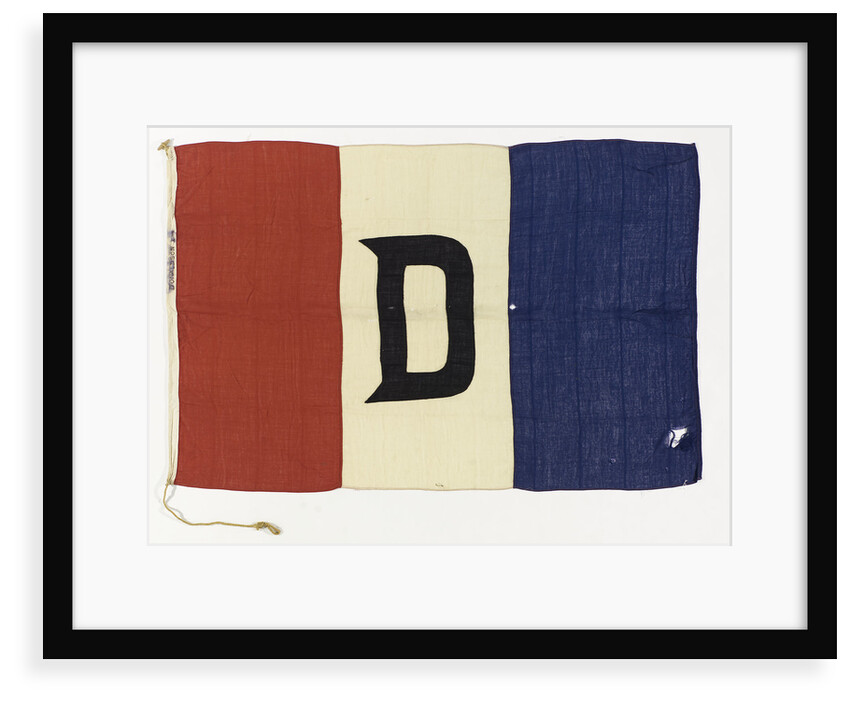 House flag, Donaldson Line Ltd by unknown