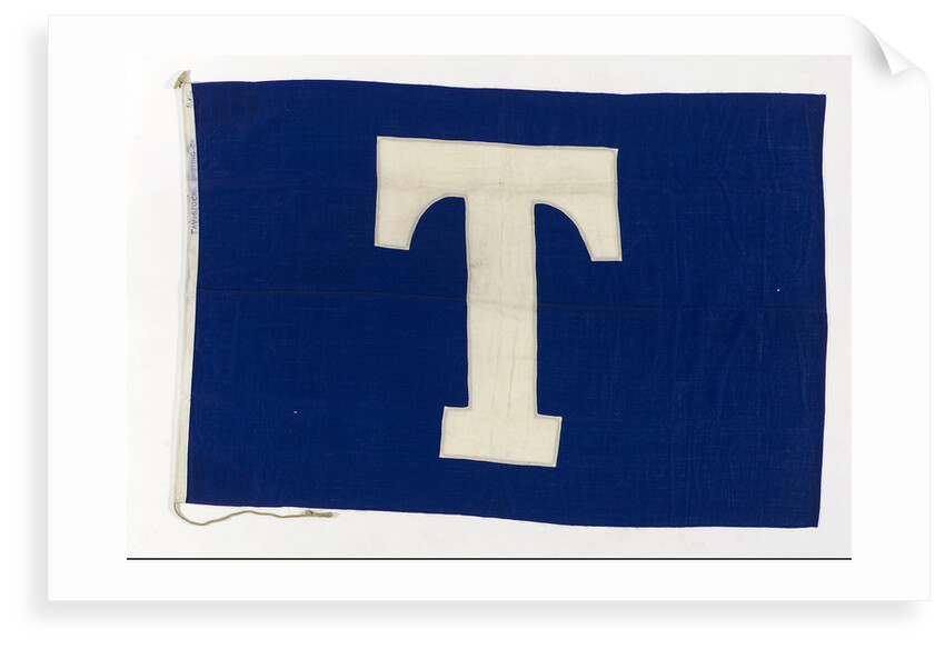 House flag, Tavistock Shipping Co. by unknown