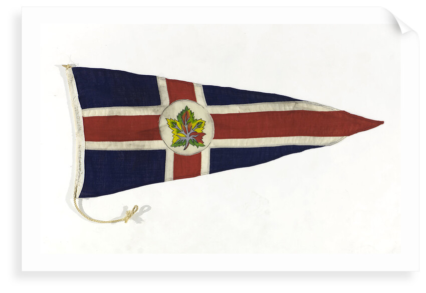 House flag, Canadian National Steamships by unknown
