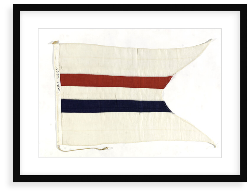House flag, Euxine Shipping Co. Ltd by unknown