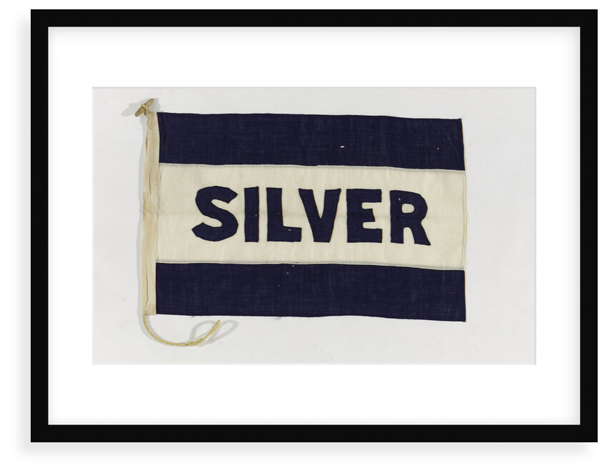 House flag, Silver Line Ltd by unknown