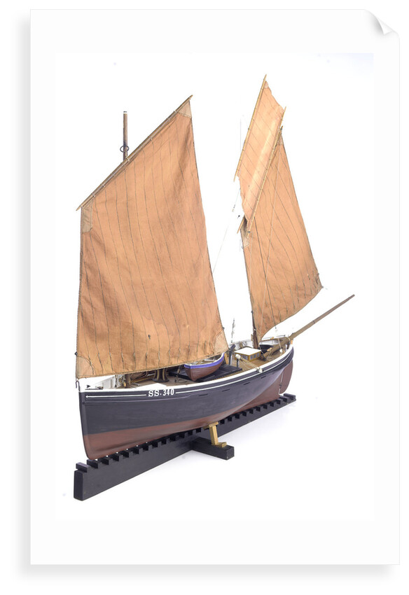 Ebenezer' (1867), port by Max T. Davey