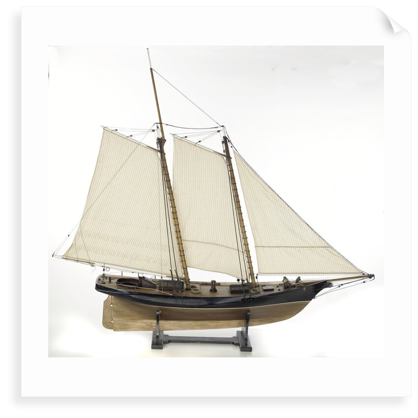 Schooner Yacht 'America' (1851) by unknown