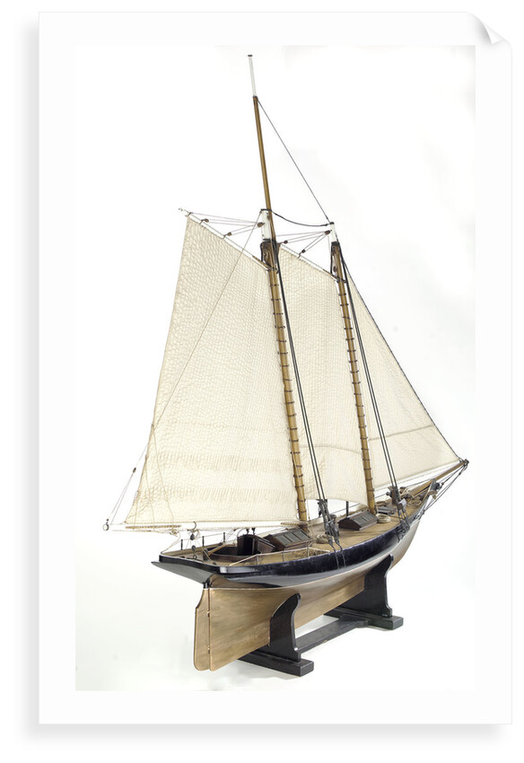 Schooner Yacht 'America' (1851) by unknown