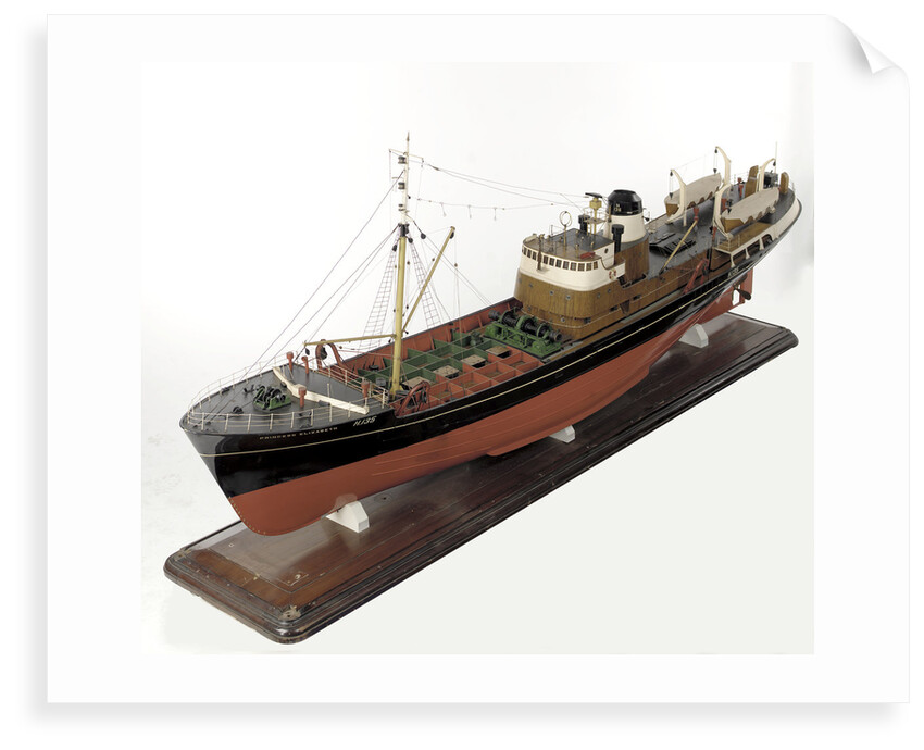 'Princess Elizabeth', port by unknown