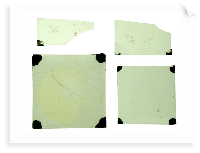 Glass slides by unknown