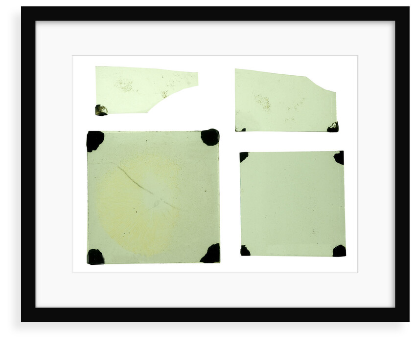 Glass slides by unknown