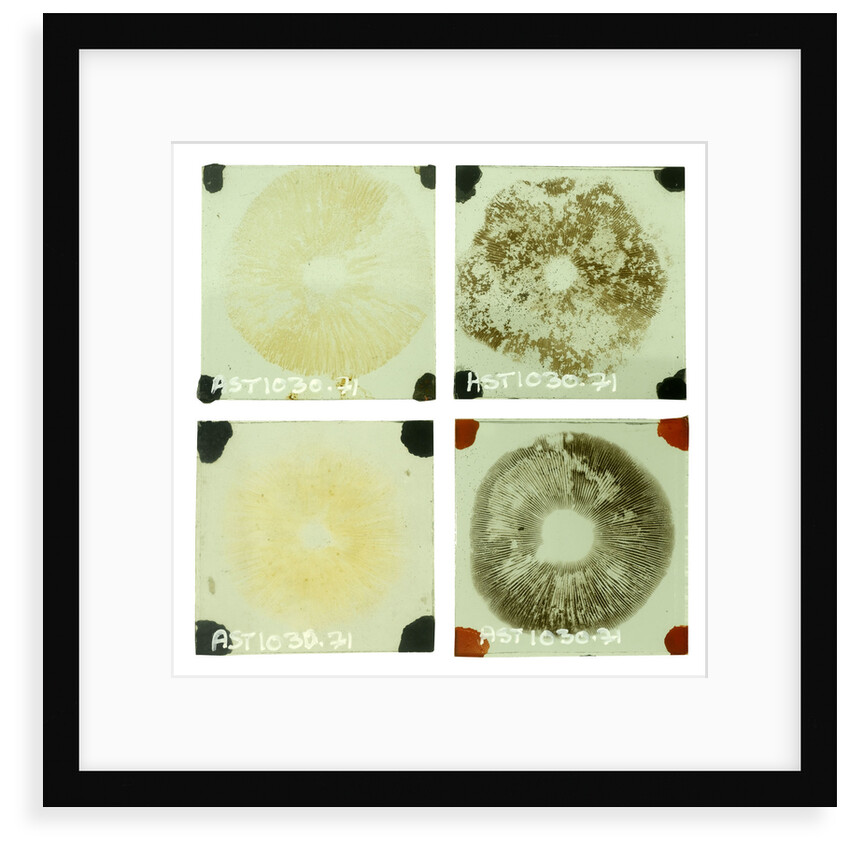 Four double squares of glass by unknown