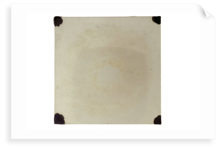 Glass slide by Unknown