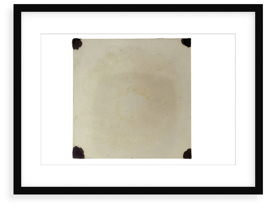 Glass slide by Unknown