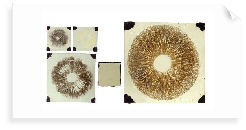 Five double plates of square glass of various sizes by unknown
