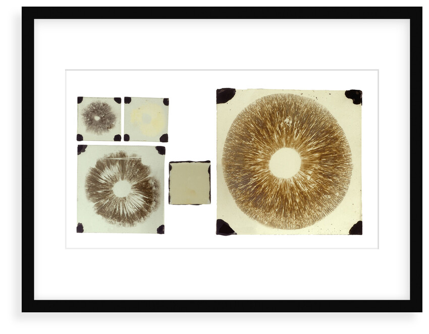 Five double plates of square glass of various sizes by unknown