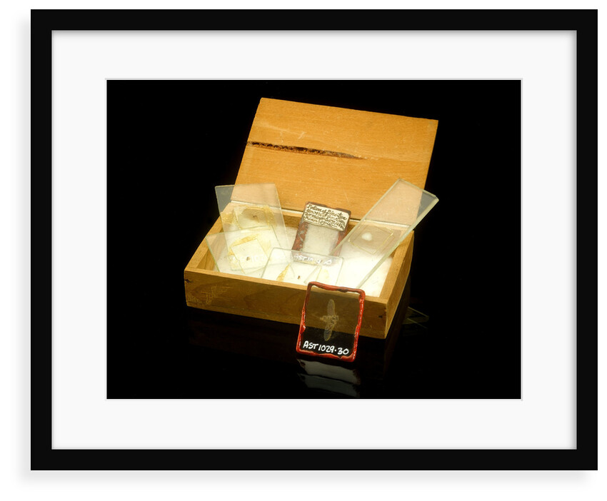Microscope slides and box by Unknown