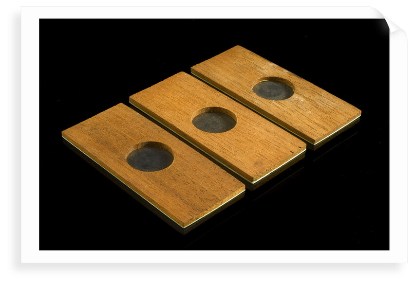 Three microscope or specimen holders by unknown