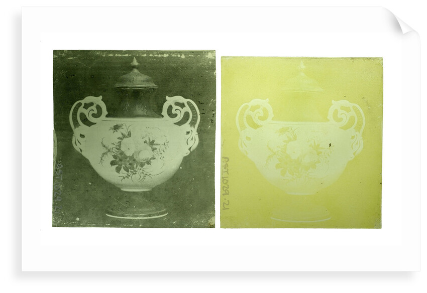Two transparencies of a Wedgwood vase circa 1900 by Unknown