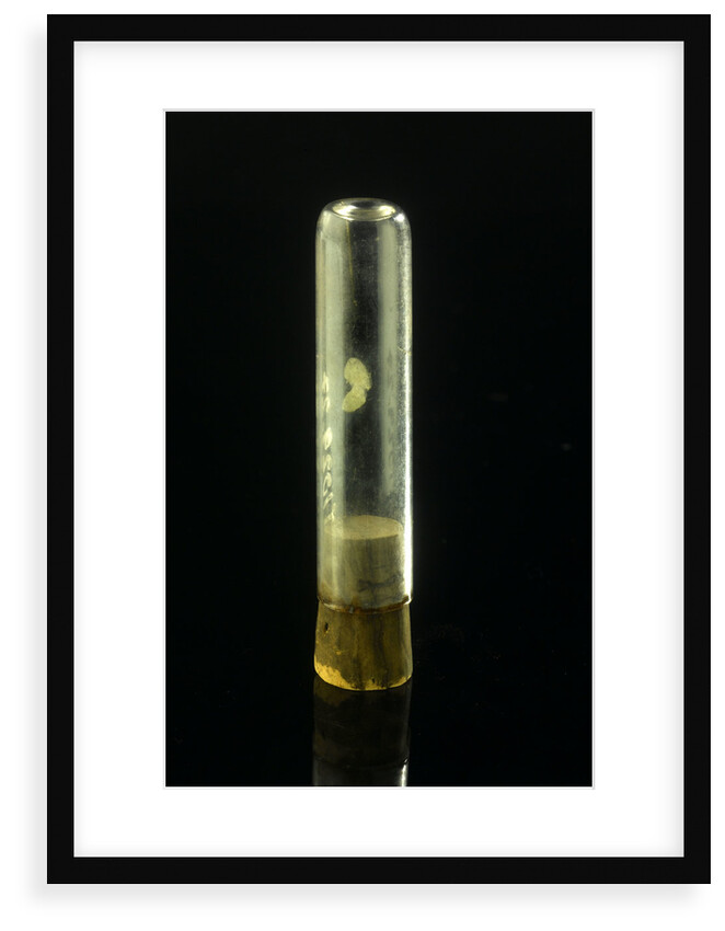 Empty specimen tube with cork by unknown