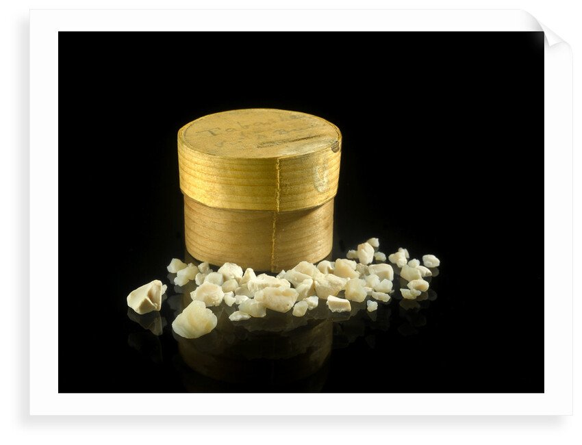 Pill box containing 'Tabas__ from Sir D B___' by unknown