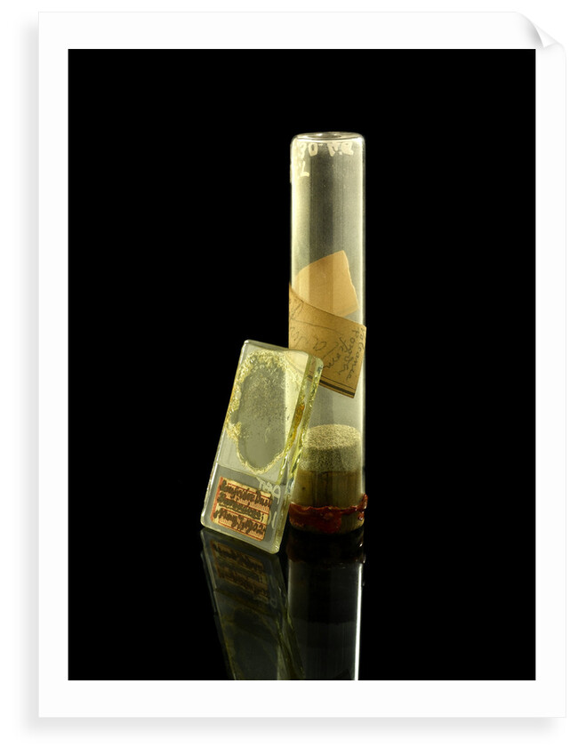 Phial containing volcano dust by unknown