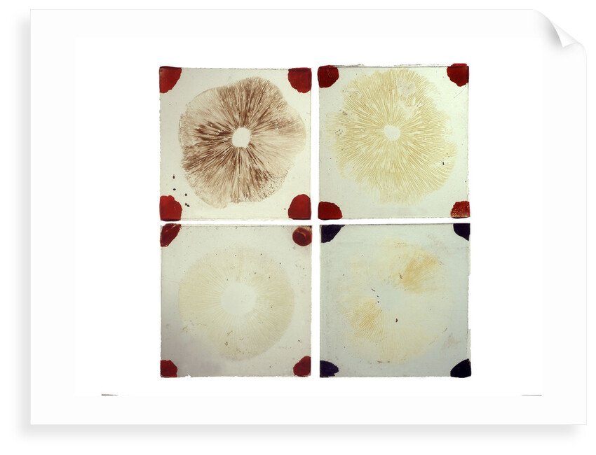 Four microscope slides showing an object similar to those marked AST103950 by unknown