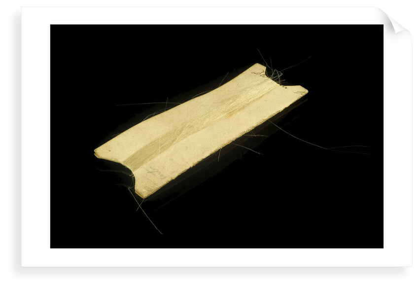 Horsehair wrapped around cardboard by unknown