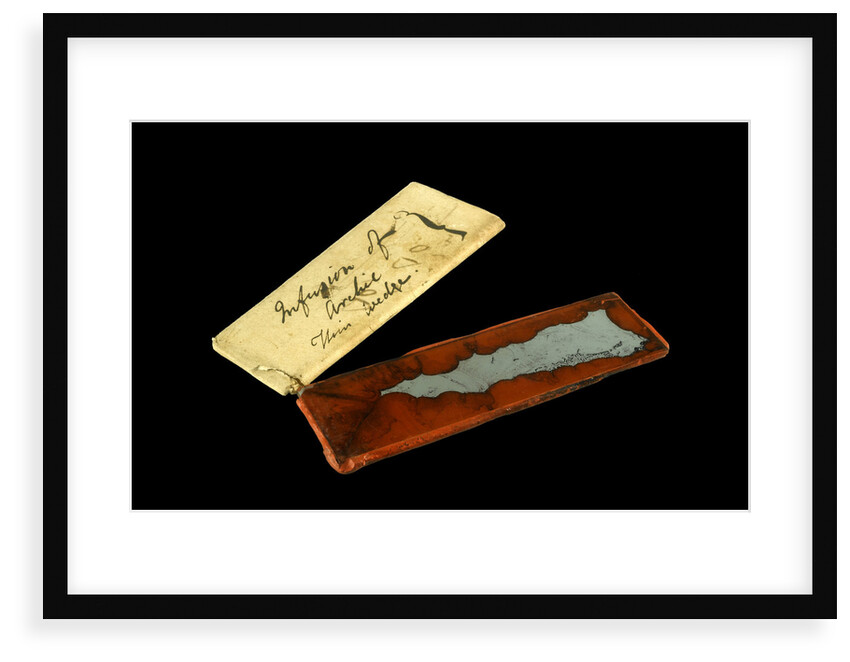 Glass plate by Unknown