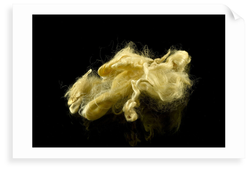 Two skeins of raw silk in an envelope by unknown
