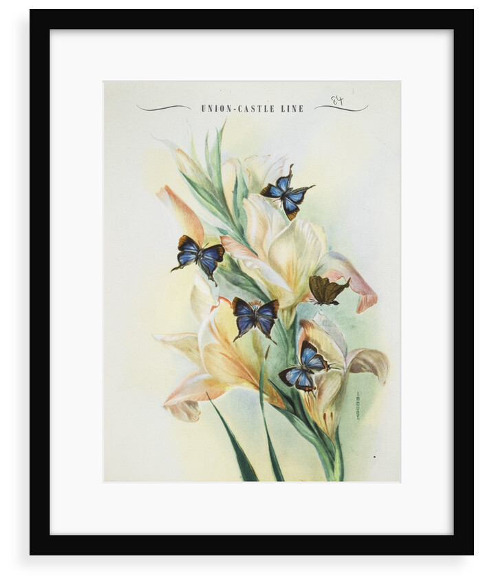 Front cover of Union Castle Line menu, depicting Rhodesian butterflies and moths by unknown