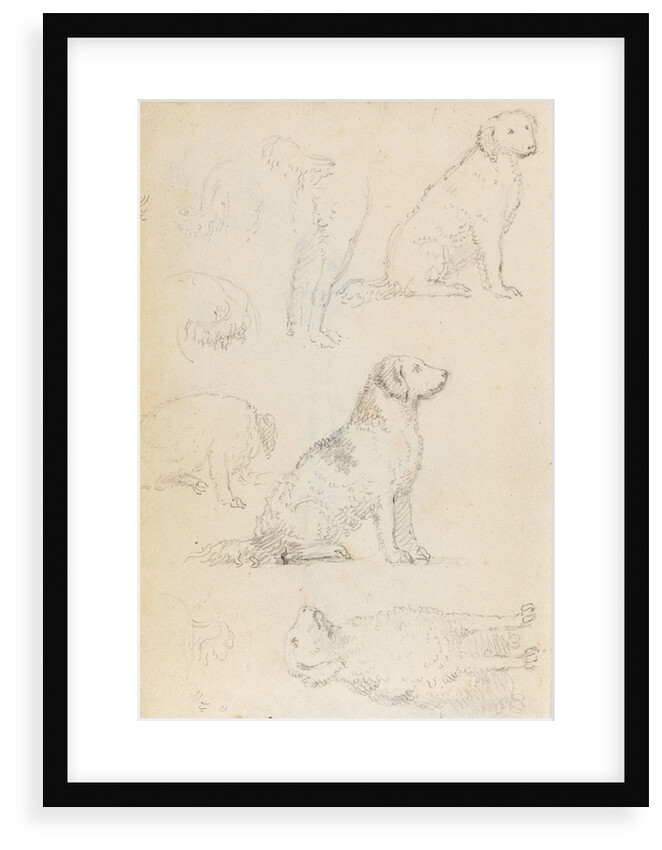 Studies of Nelson's dogs (verso) by Thomas Baxter