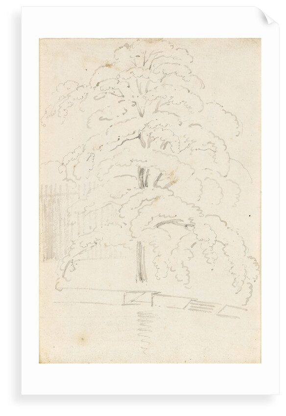 A study of a tree over water (verso) by Thomas Baxter