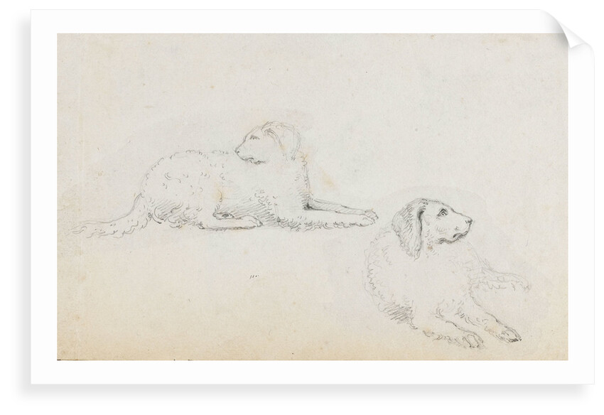 Studies of Nelson's dogs (recto) by Thomas Baxter