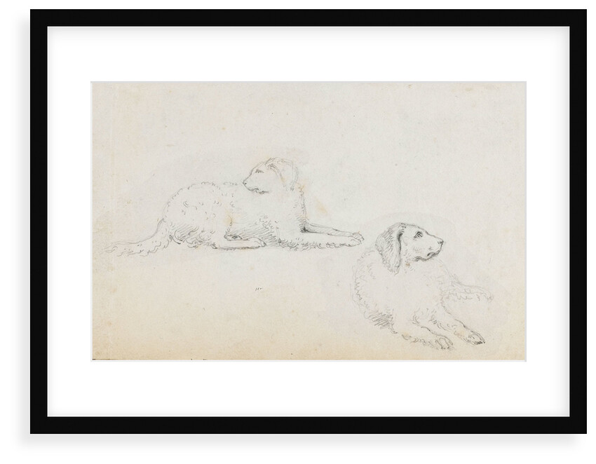 Studies of Nelson's dogs (recto) by Thomas Baxter