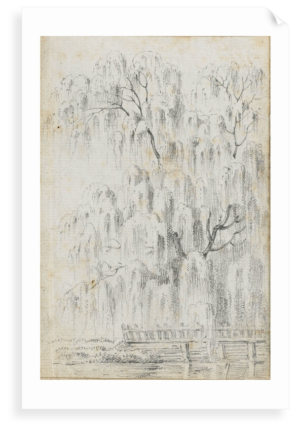 Study of a tree overhanging water at Merton (recto) by Thomas Baxter