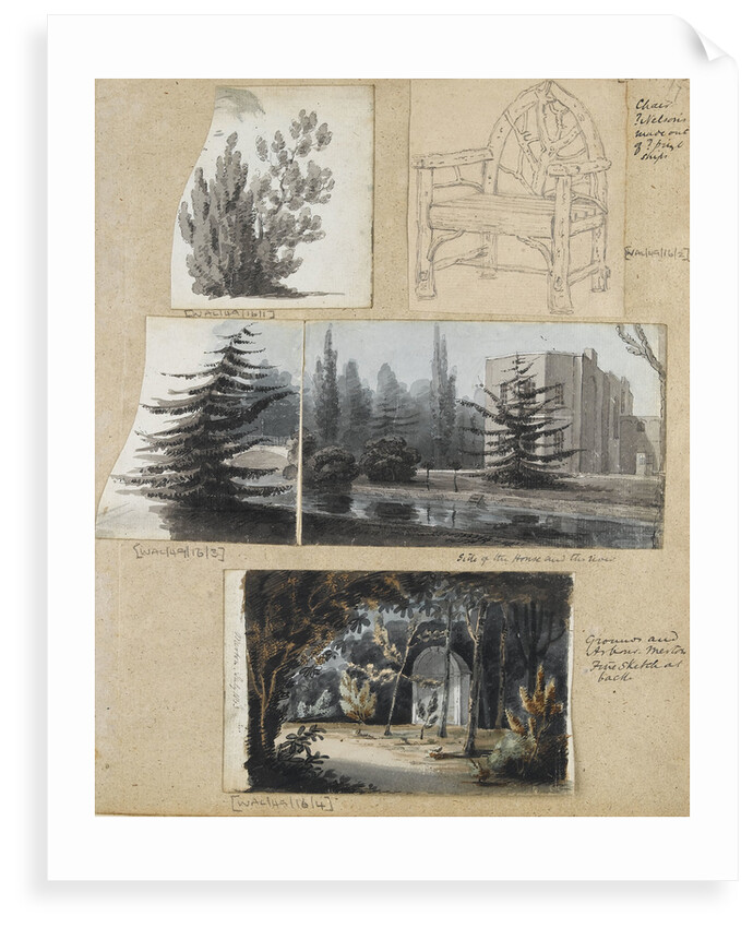 A study of a shrub and and chair, views of Merton Place by Thomas Baxter