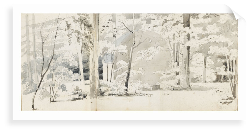 An arbour surrounded by trees (recto) by Thomas Baxter