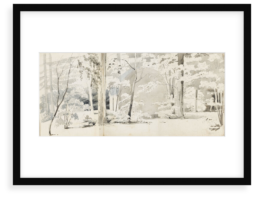 An arbour surrounded by trees (recto) by Thomas Baxter
