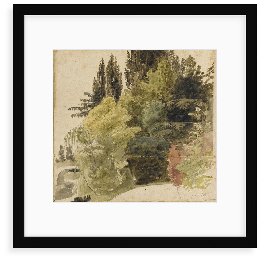 A study of trees in the grounds at Merton Place by Thomas Baxter