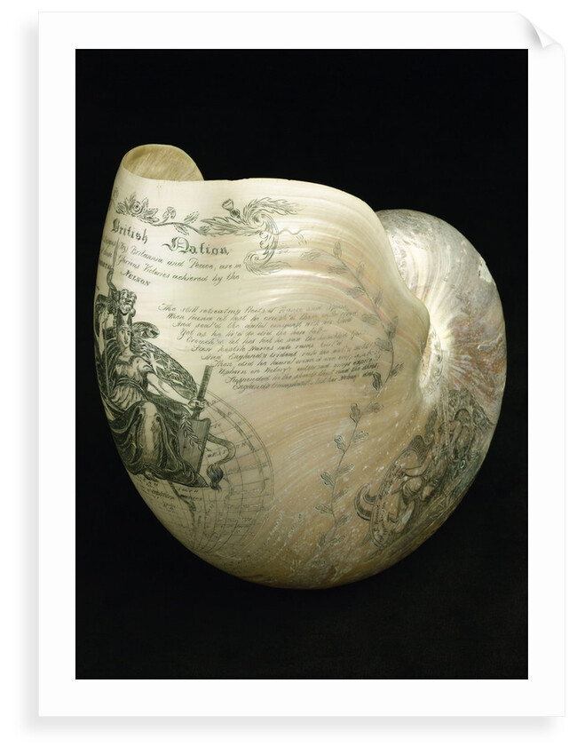 Engraved nautilus shell commemorating Nelson's victories by C. H. Wood