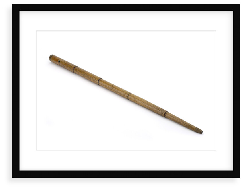 Walking stick telescope by William Harris & Co.