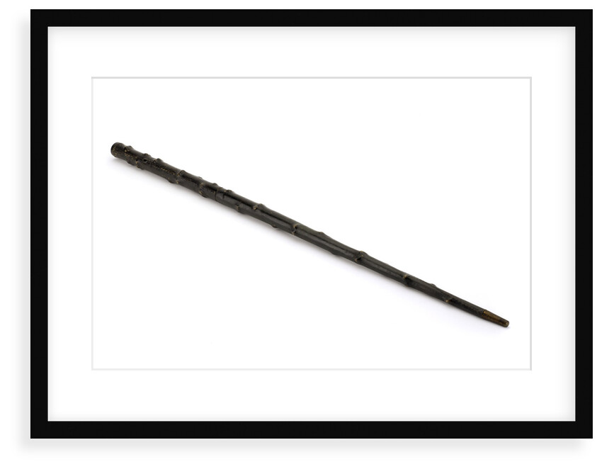 Walking stick telescope by Thomas Harris & Son